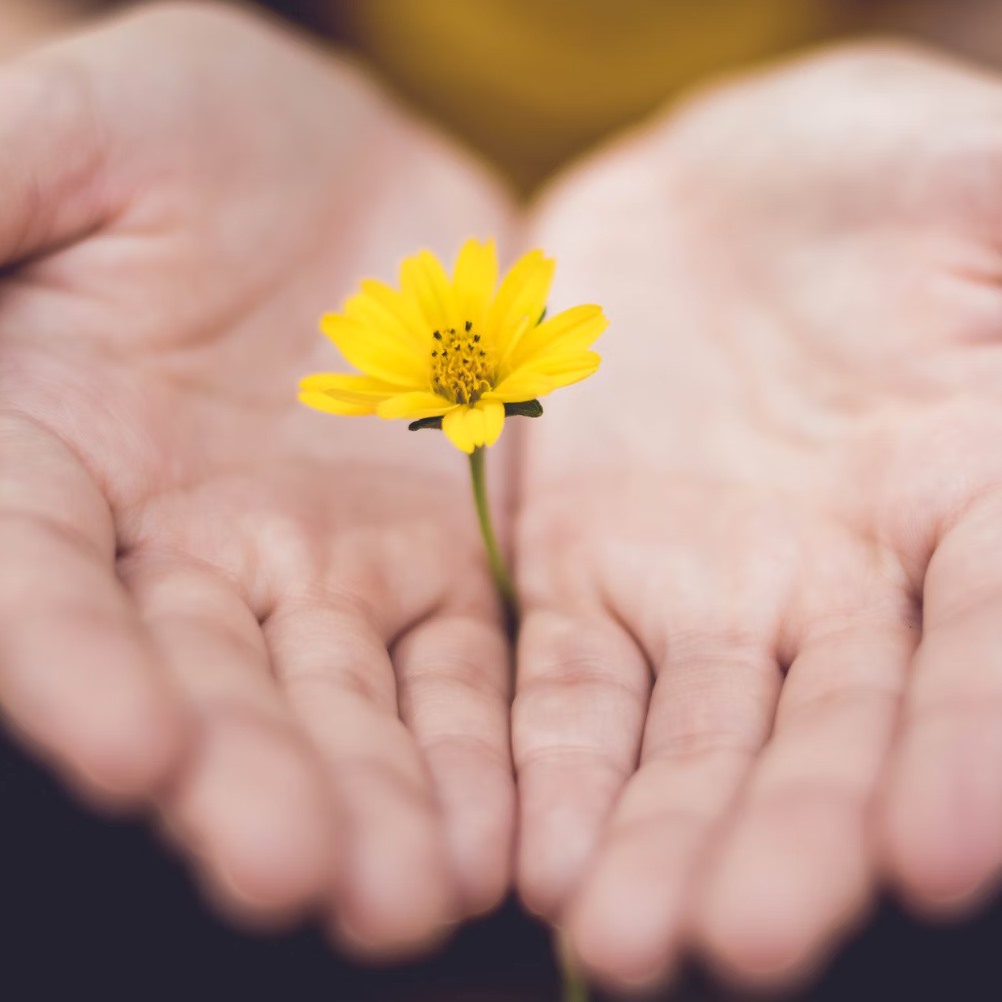 from-crisis-to-confidense