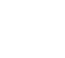 northern VETS