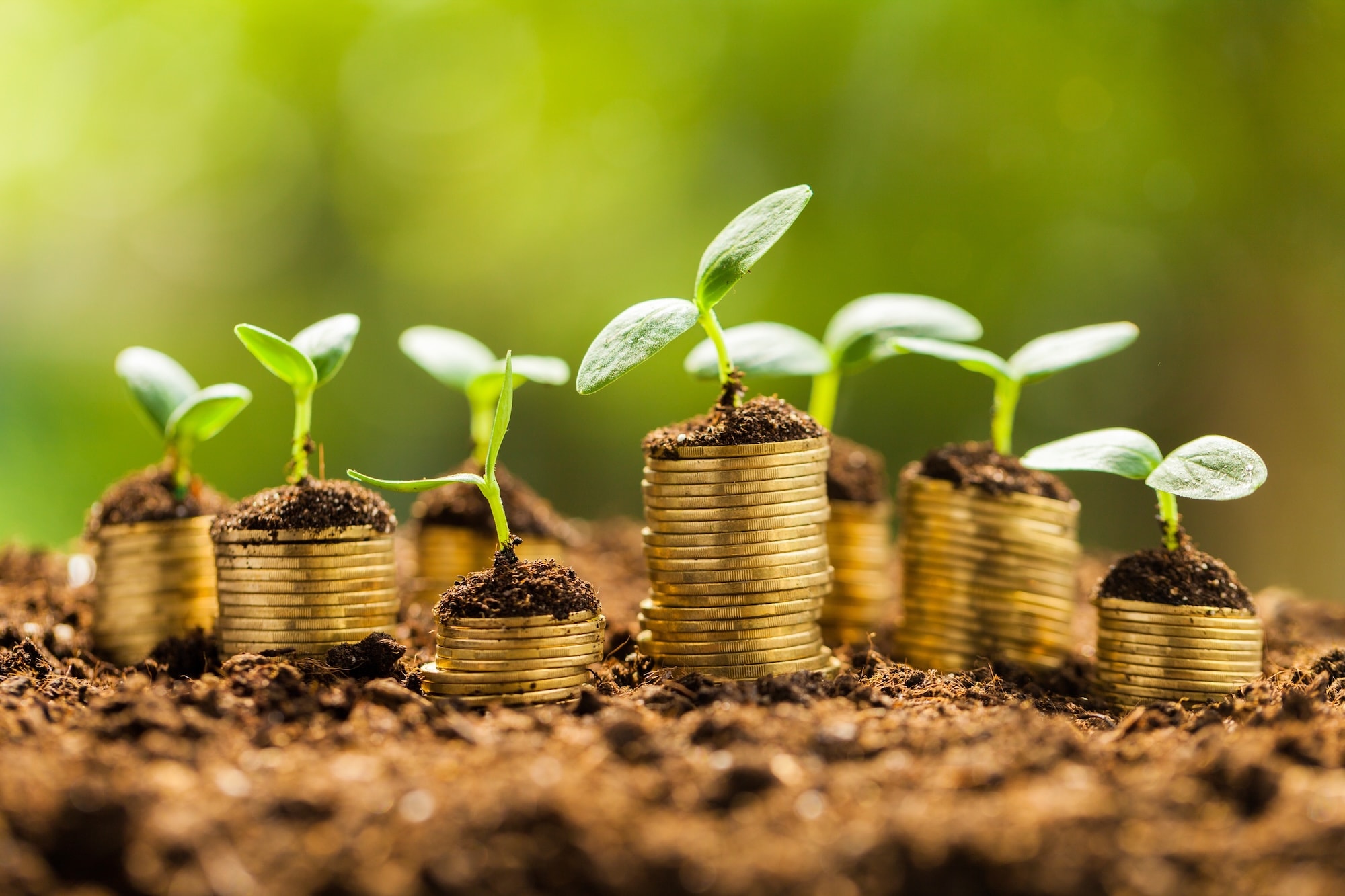 donations-banner