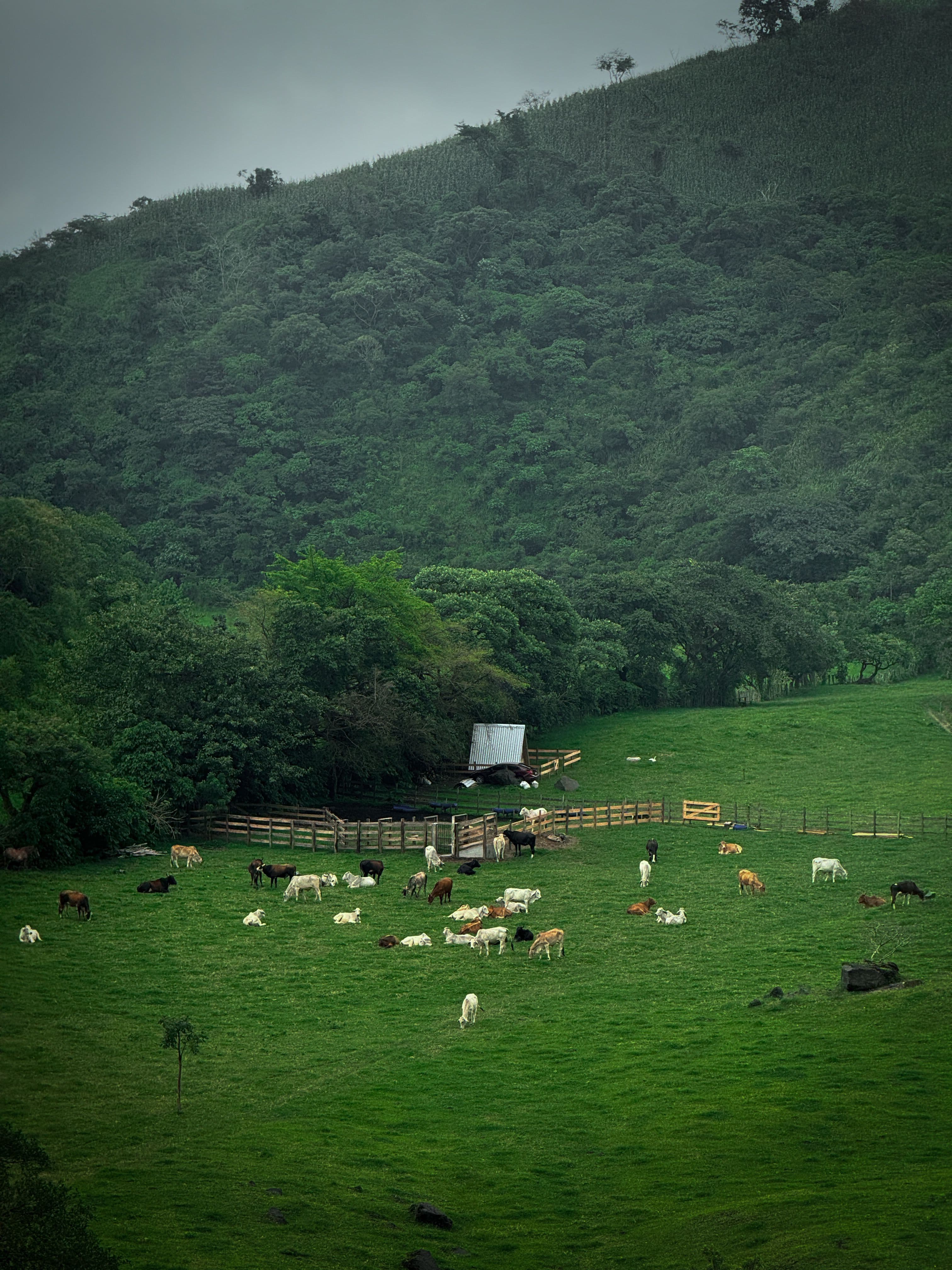 Northern FARM
